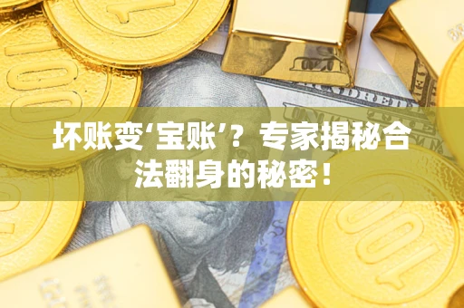济南坏账变‘宝账’？专家揭秘合法翻身的秘密！