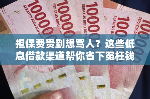 济南担保费贵到想骂人？这些低息借款渠道帮你省下冤枉钱